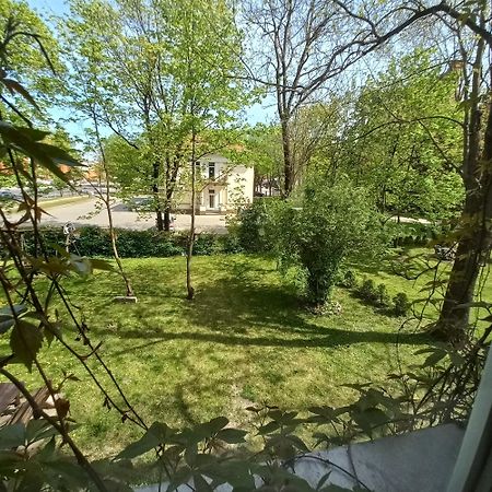 Apartment Under The Maple Klaipeda Bagian luar foto